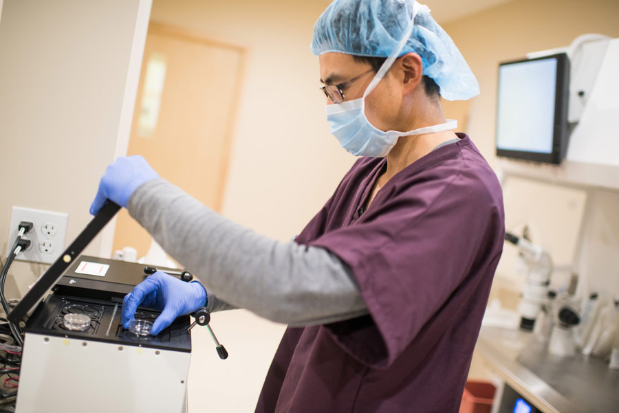 ivf egg retrieval