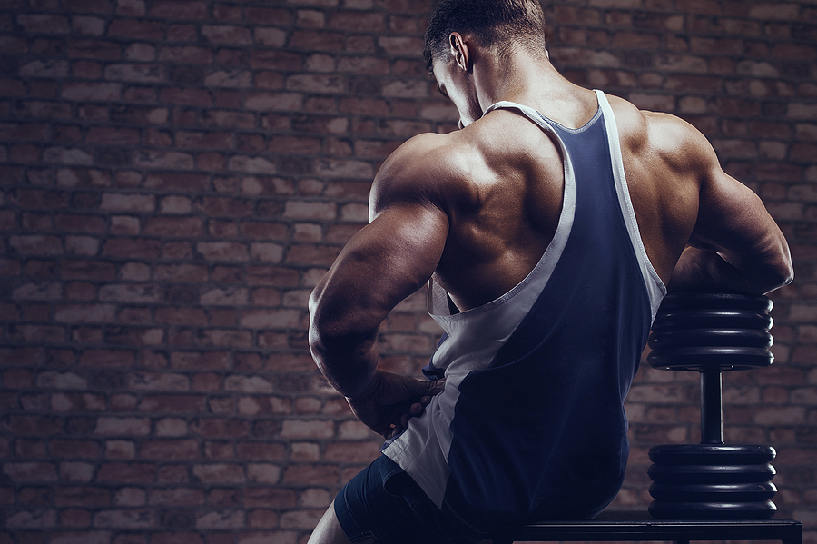 Steroid Transforms