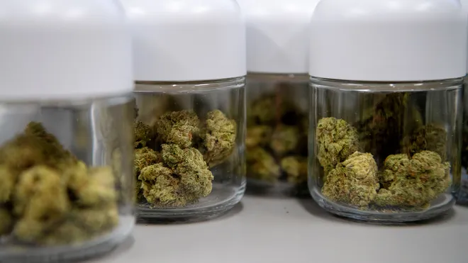good cannabis shop